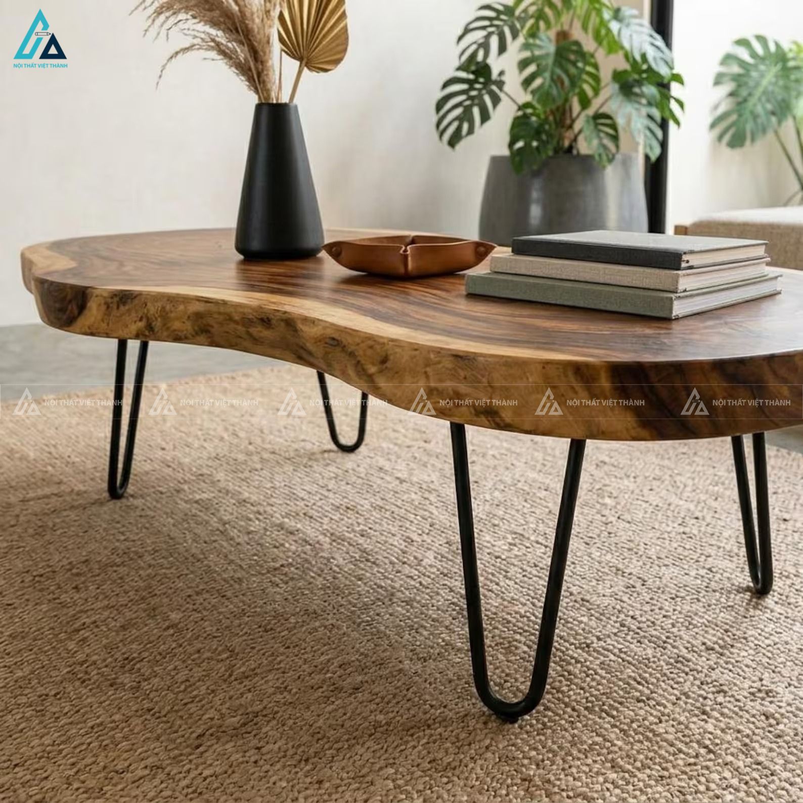 Bàn trà gỗ nguyên tấm hình tự nhiên chân sắt cho phòng khách 2