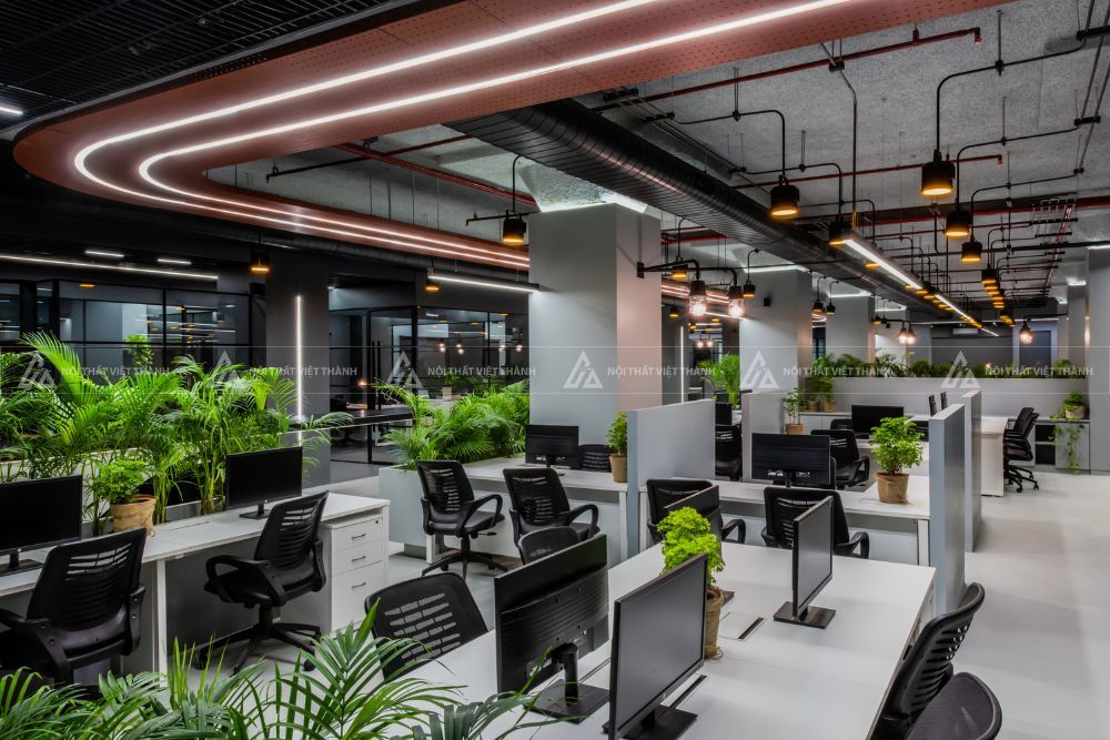 Thiết kế văn phòng kết hợp cây xanh